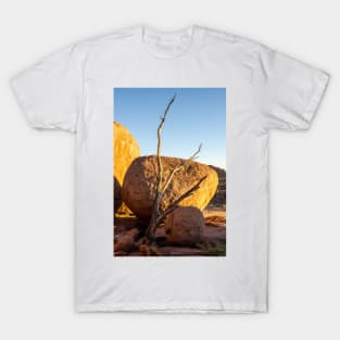 Tree and boulder. T-Shirt